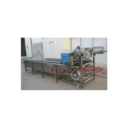 果蔬清洗機(jī)選購(gòu)指南 第40頁(yè)機(jī)械設(shè)備深度解析